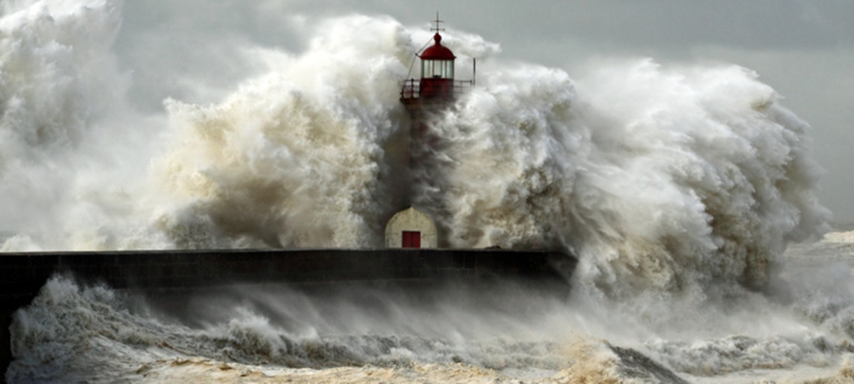 Shanghai P I Services